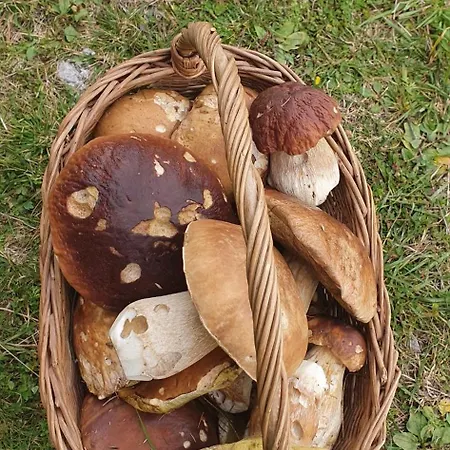 Chalet Alva- Relax A Oddych V Slovenskom Raji Dedinky